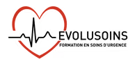 Logo Evolusoins SNC